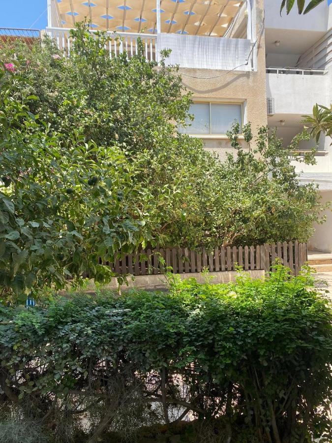Stay With Oleg C17 Paralimni Exterior photo